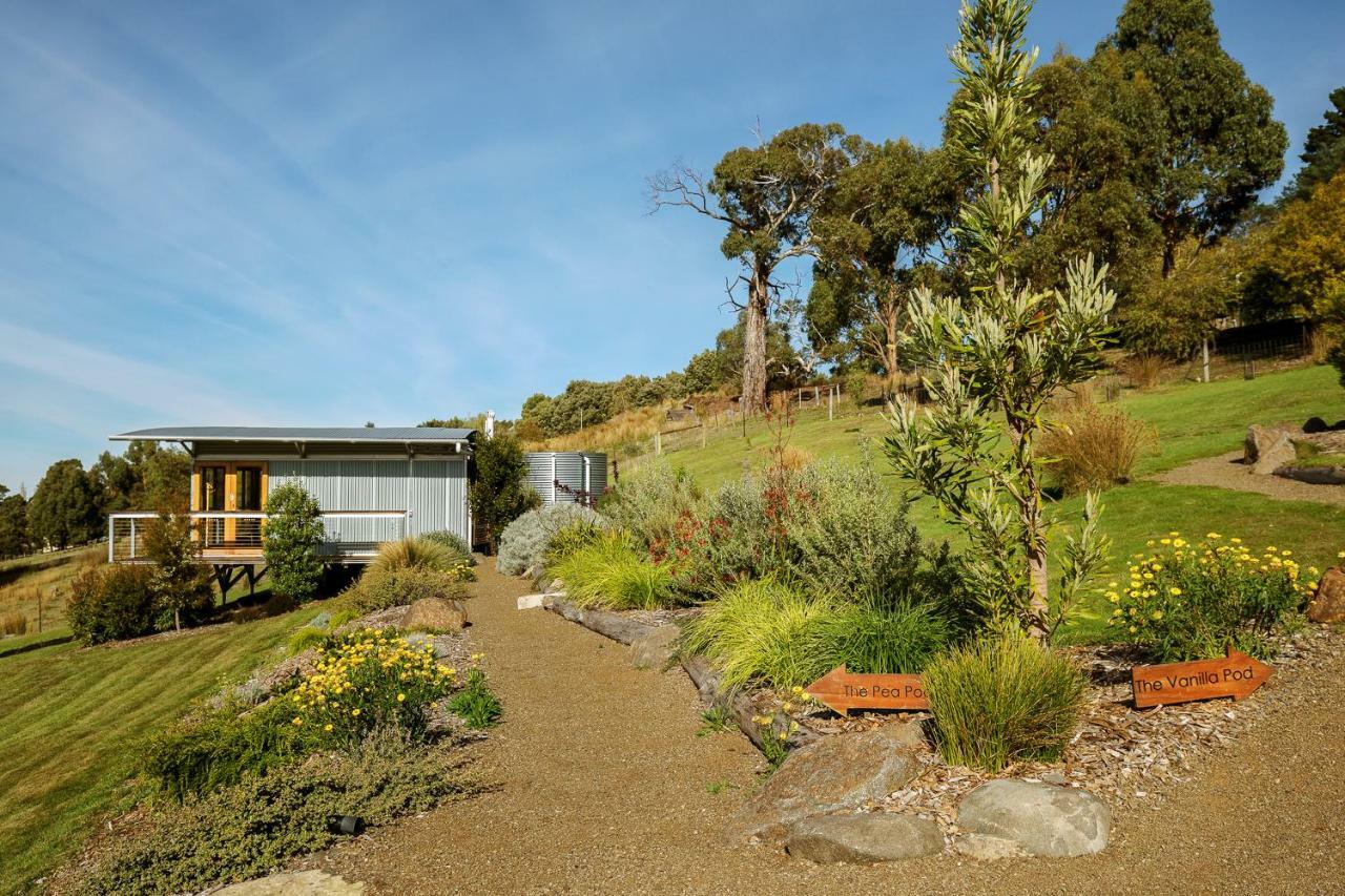 Hobart Hideaway Pods Bed and Breakfast Κίνγκστον Εξωτερικό φωτογραφία