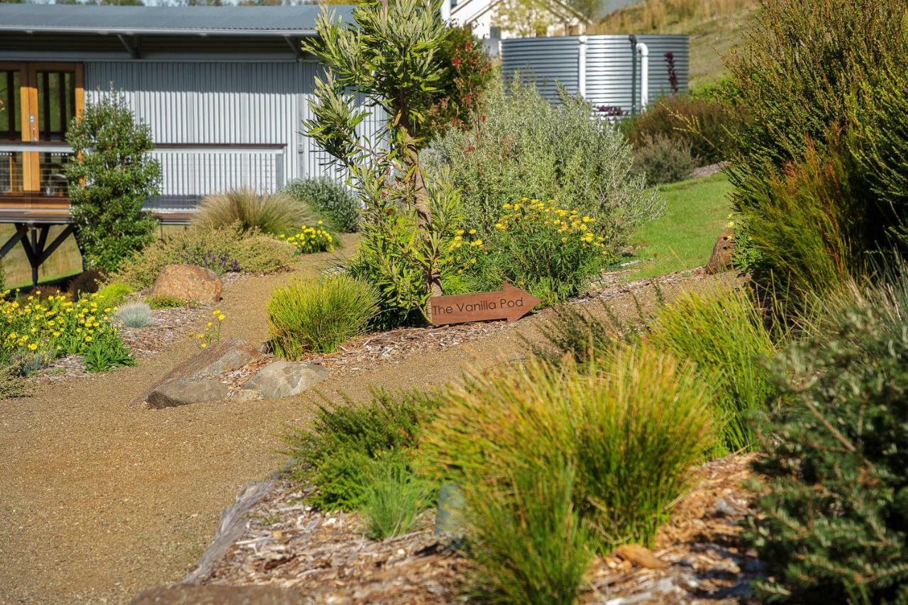 Hobart Hideaway Pods Bed and Breakfast Κίνγκστον Εξωτερικό φωτογραφία