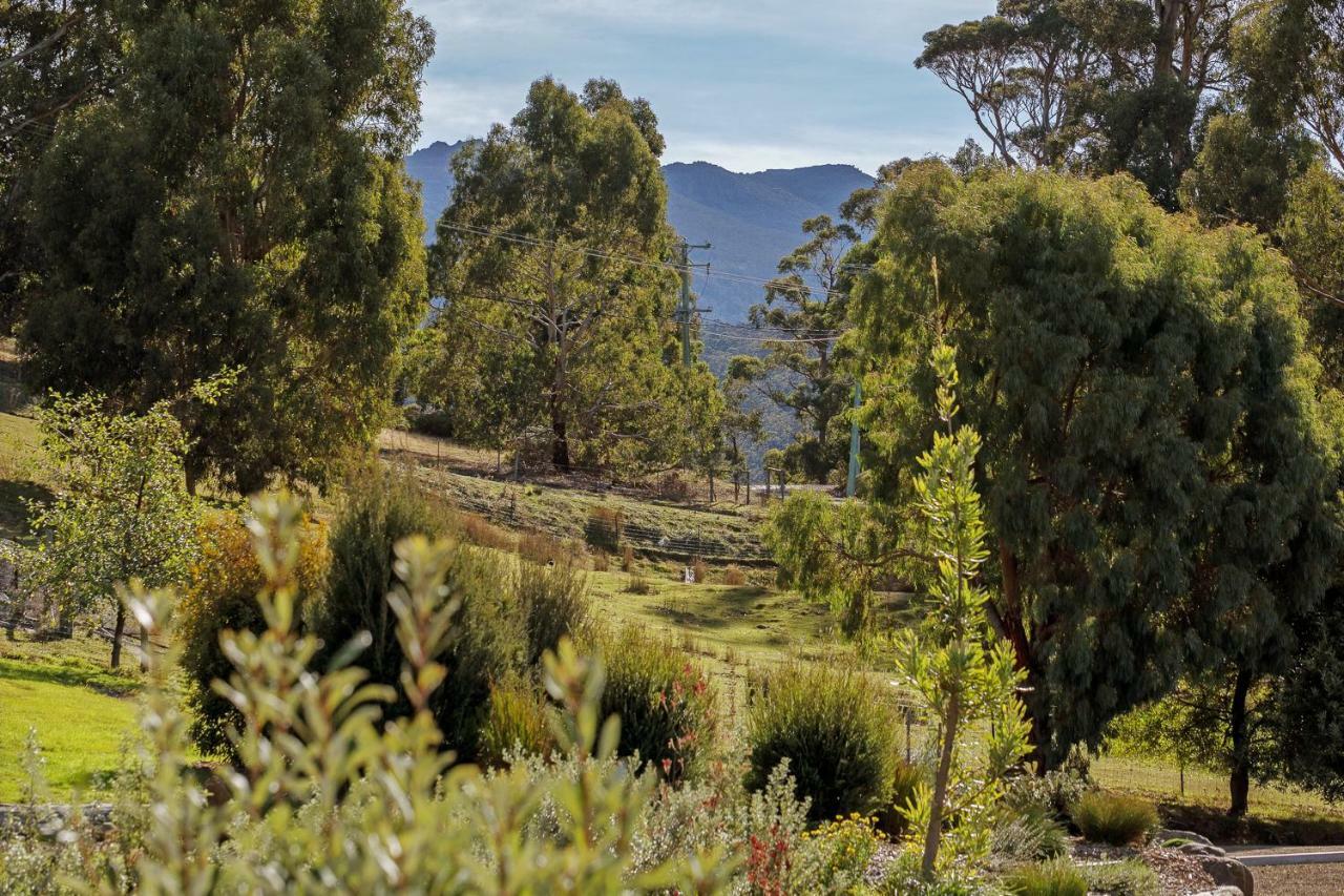 Hobart Hideaway Pods Bed and Breakfast Κίνγκστον Εξωτερικό φωτογραφία